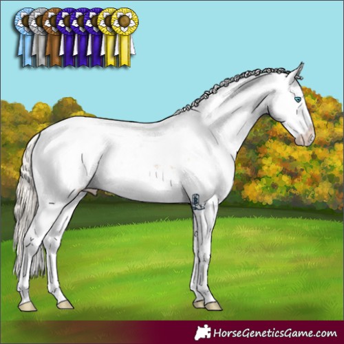 Horse Color:Chocolate Palomino Pearl Sabino 