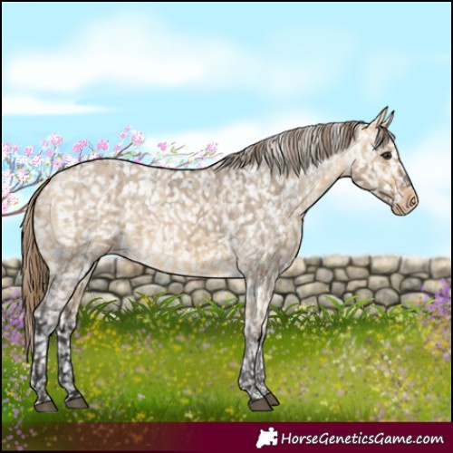 Horse Color:Buckskin Dun Snowflake Varnish  and Buckskin Dun Snowflake Varnish 