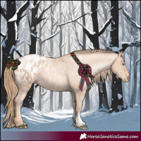 Horse Color:Gold Champagne Pearl Appaloosa Rabicano  and Gold Champagne Pearl Appaloosa Rabicano 