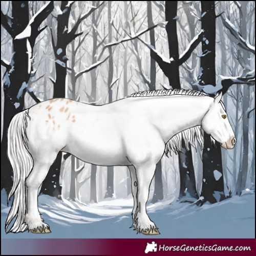 Horse Color:Silver Amber Champagne Frame Appaloosa 