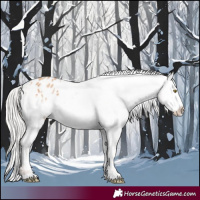 Horse Color:Silver Amber Champagne Frame Appaloosa 