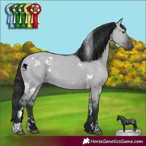 Horse Color:White Spotted Grullo Chinchilla 