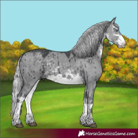 Horse Color:White Spotted Silver Grullo Chinchilla Brindle 