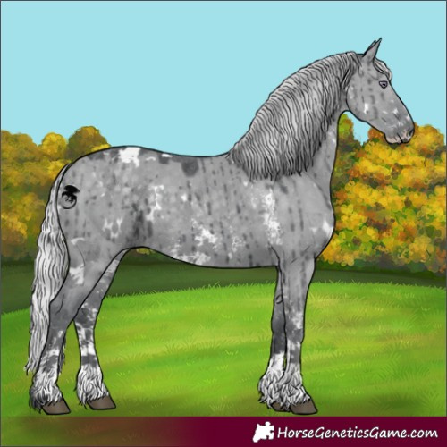 Horse Color:White Spotted Silver Grullo Chinchilla Sabino Brindle 