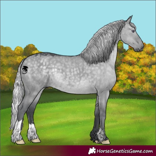 Horse Color:Silver Grullo Chinchilla 