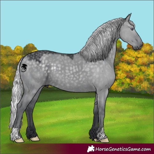 Horse Color:Silver Grullo Chinchilla
