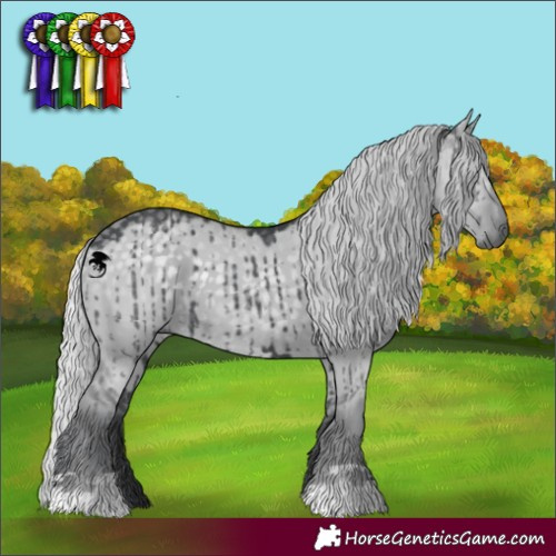 Horse Color:Silver Grullo Chinchilla Brindle 