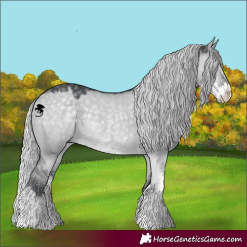 Horse Color:Silver Grullo Chinchilla Sabino 