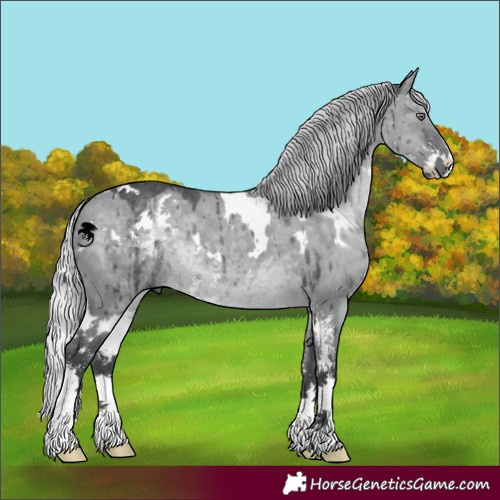 Horse Color:White Spotted Silver Grullo Chinchilla Sabino Brindle 