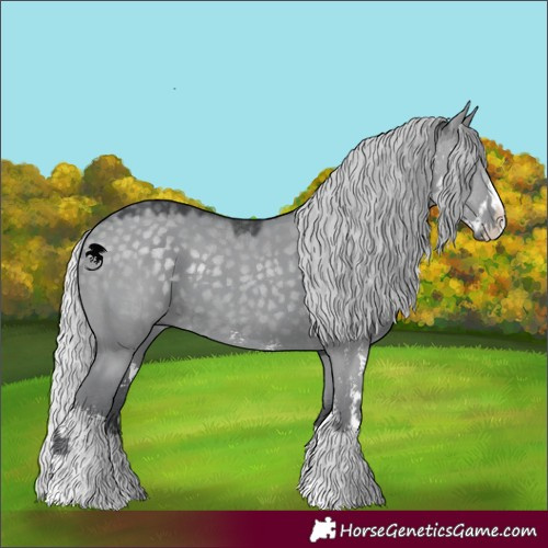 Horse Color:Silver Grullo Chinchilla Sabino 