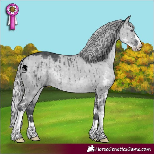 Horse Color:Silver Grullo Chinchilla Sabino Brindle 