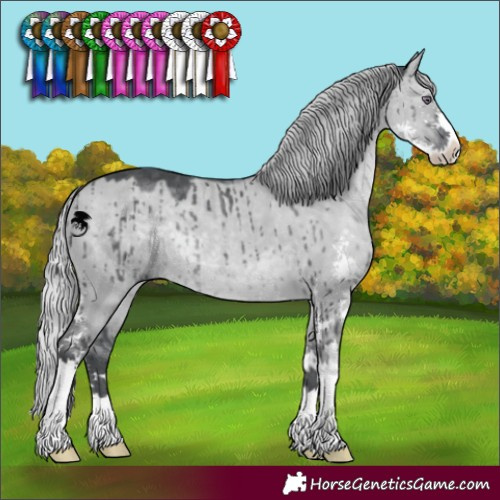 Horse Color:Silver Grullo Chinchilla Sabino Brindle 