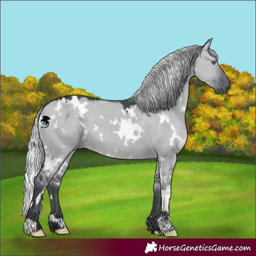 Horse Color:White Spotted Silver Grullo Chinchilla 