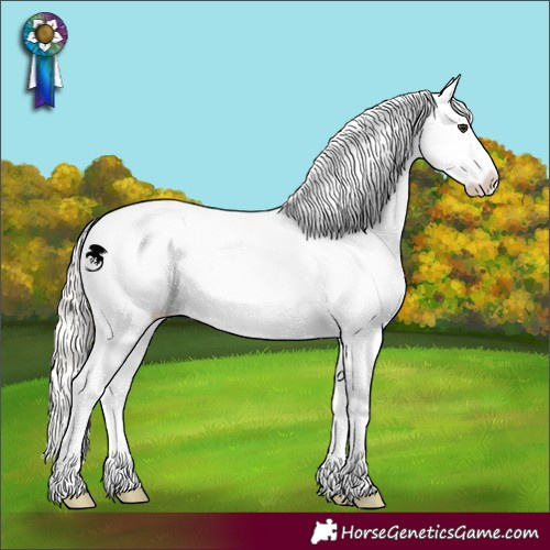 Horse Color:White Spotted Liver Red Dun Mushroom Appaloosa 