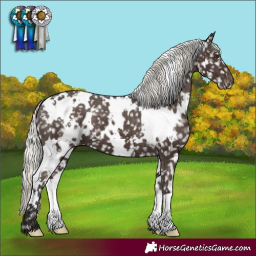 Horse Color:White Spotted Liver Chestnut Mushroom Snowflake Varnish