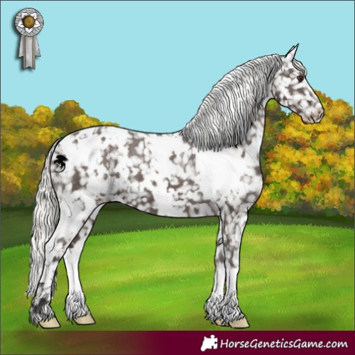 Horse Color:White Spotted Liver Chestnut Mushroom Appaloosa 