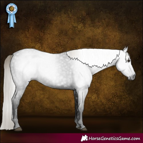 Horse Color:Gray White Spotted Liver Chestnut Mushroom 