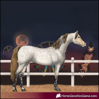 Horse Color:Buckskin Roan Dun Snowflake Varnish  and Buckskin Roan Dun Snowflake Varnish 