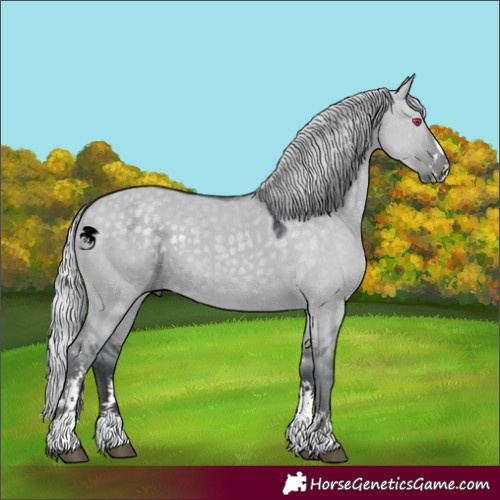 Horse Color:Silver Grullo Chinchilla Sabino 