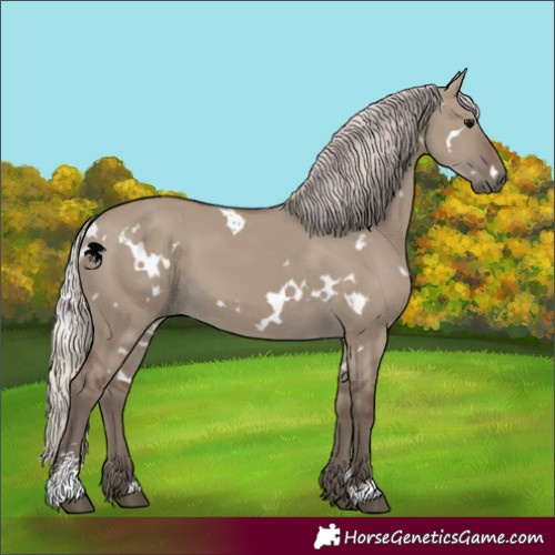 Horse Color:White Spotted Silver Grullo Sabino 