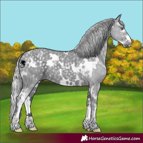 Horse Color:White Spotted Silver Grullo Chinchilla Sabino 