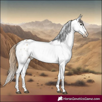 Horse Color:Buckskin Dun Blanket  and Buckskin Dun Snowflake Varnish 