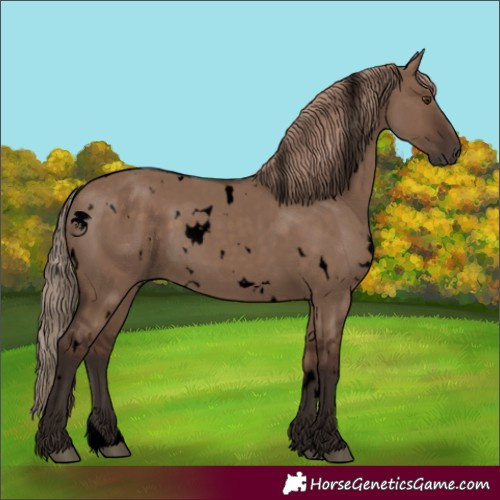 Horse Color:Void White Spotted Liver Red Dun 