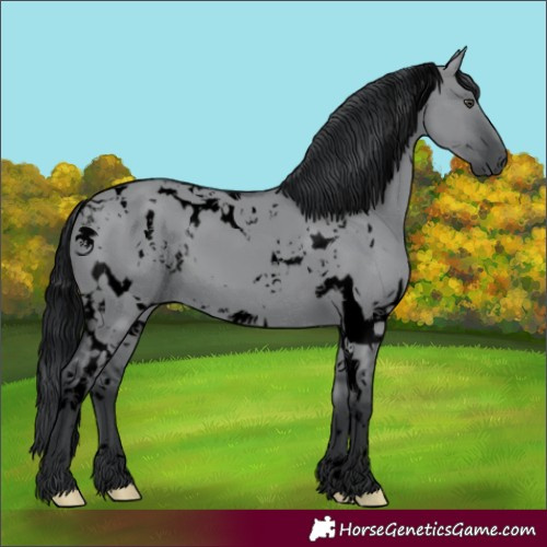 Horse Color:Void White Spotted Grullo Chinchilla 