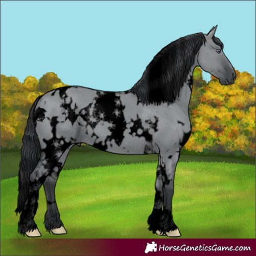 Horse Color:Void White Spotted Grullo Chinchilla 