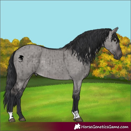 Horse Color:Platinum Brown Dun Brindle 
