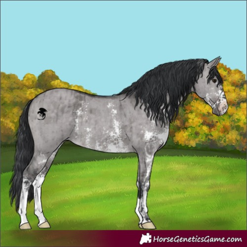 Horse Color:Platinum Brown Dun Sabino Brindle 