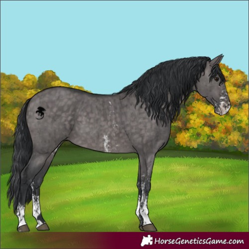 Horse Color:Platinum Brown Dun Sabino Brindle 