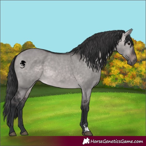 Horse Color:Platinum Brown Dun 