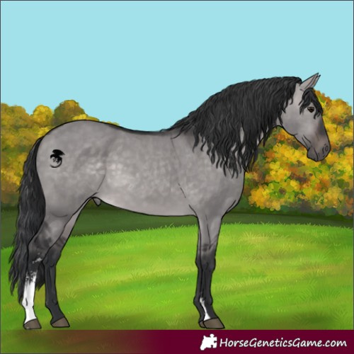 Horse Color:Platinum Brown Dun Sabino 