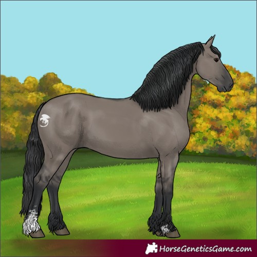 Horse Color:Grullo Sabino 
