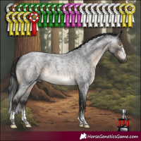 Horse Color:Gray Brown Roan Mushroom Sabino