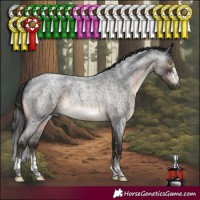 Horse Color:Gray Brown Roan Mushroom Sabino