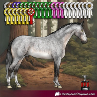 Horse Color:Gray Brown Roan Mushroom Sabino