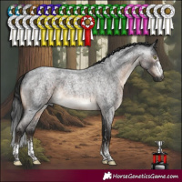 Horse Color:Gray Brown Roan Mushroom Sabino 