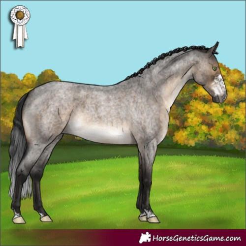 Horse Color:Gray Brown Roan Dun Mushroom Sabino Brindle 