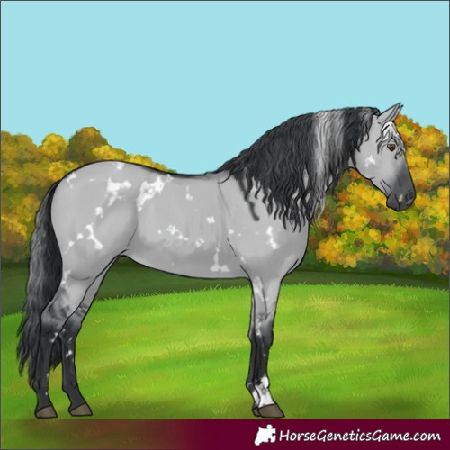 Horse Color:White Spotted Grullo Chinchilla 