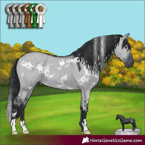 Horse Color:White Spotted Grullo Chinchilla 