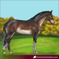 Horse Color:Brown Mushroom Sabino Tobiano 