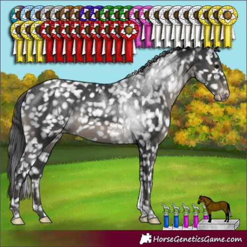 Horse Color:Black Tobiano Snowcap Rabicano 