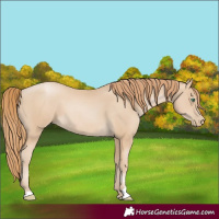 Horse Color:Smoky Black Pearl Sabino 