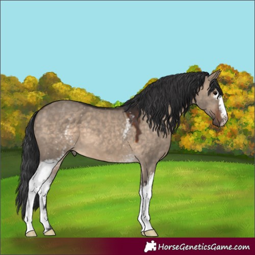Horse Color:White Spotted Brown Dun 