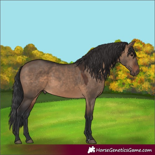 Horse Color:Brown Dun Sabino 