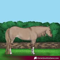 Horse Color:Liver Red Dun  and Liver Red Dun 
