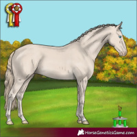Horse Color:Smoky Creme 