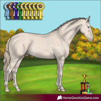 Horse Color:Smoky Creme 